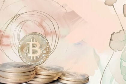 Bitcoin treasury holdings
