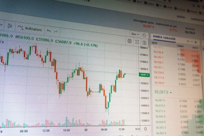xrp whale activity