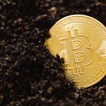 bitcoin dominance