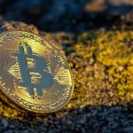 bitcoin dominance